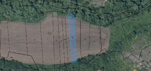 ����� ������, �. �������� - ������